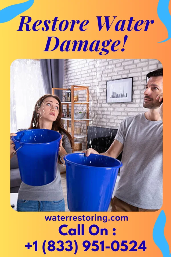water restoration Precision Water Mitigation Masters Seneca