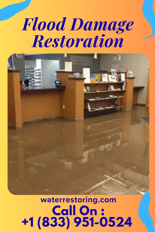 Flood Damage Restoration in Seneca, KS