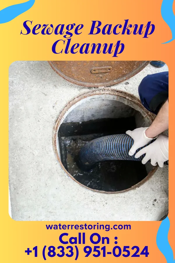 Sewage Backup Cleanup in Seneca, KS