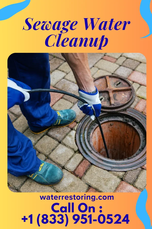 Sewage Water Cleanup in Seneca, KS